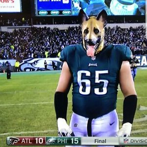 Meet your Posher, Koach